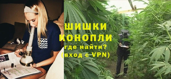 винт Богданович