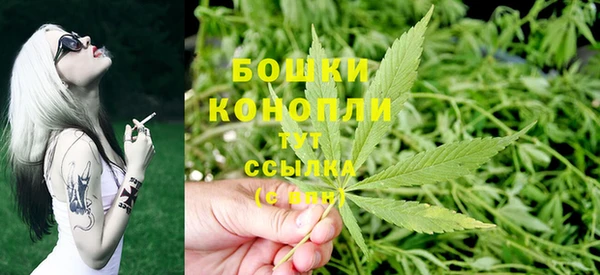 винт Богданович